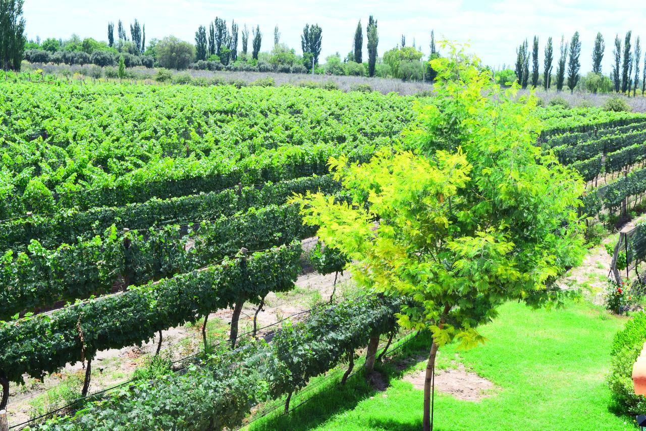 Chaglasian Wine & Suites San Rafael  Luaran gambar