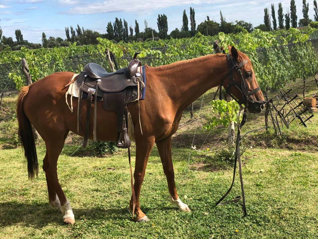 Chaglasian Wine & Suites San Rafael  Luaran gambar